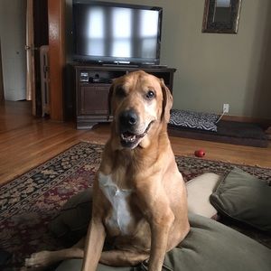 Meet your Posher, Michele